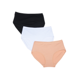 Belleza Lingerie Multi Color Brief Panty Pack Of 3-B253