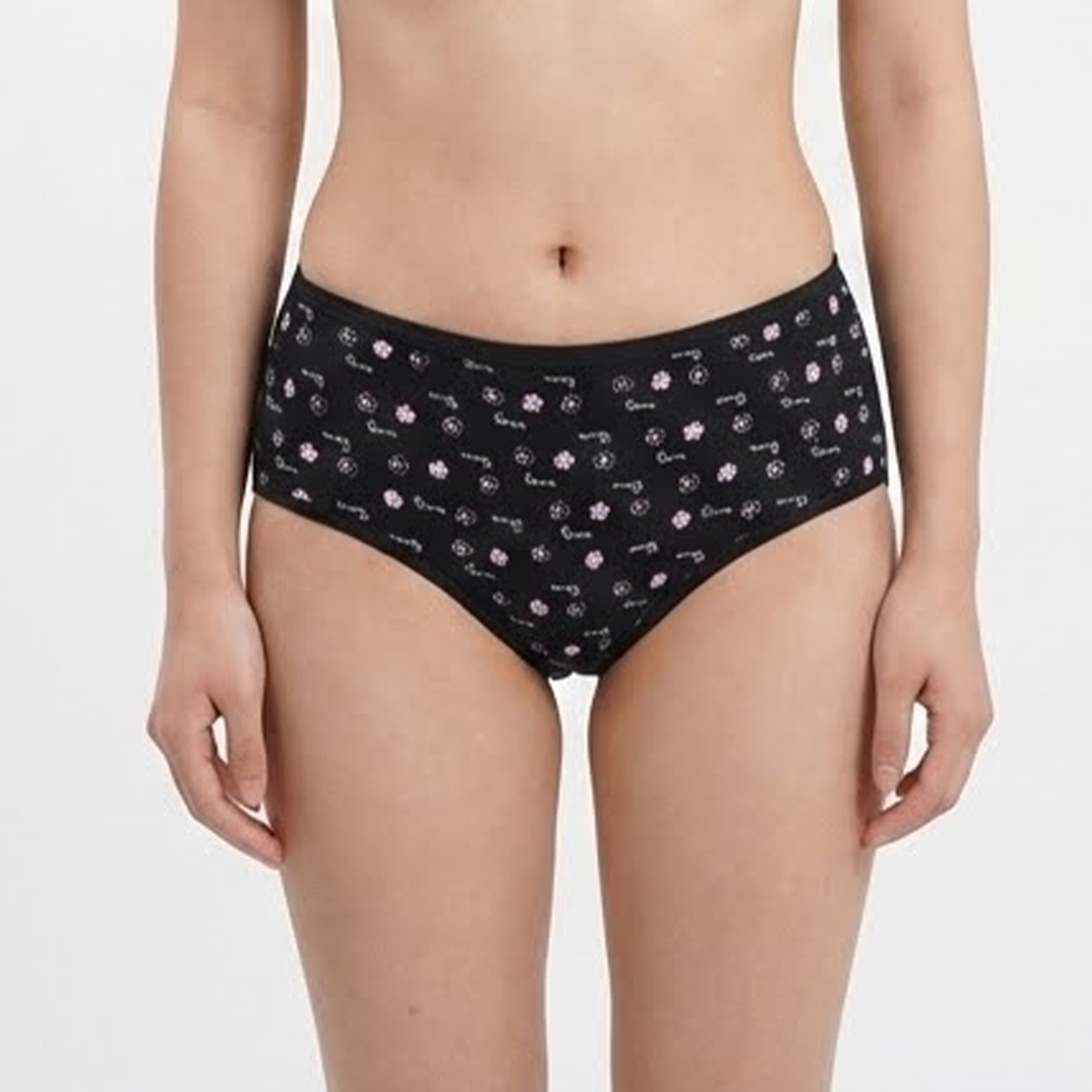 Belleza Lingerie multi Color Brief Panty Pack Of 6-B256