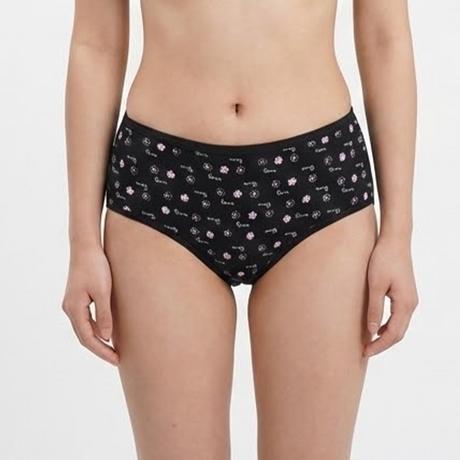 Belleza Lingerie multi Color Brief Panty Pack Of 6-B256