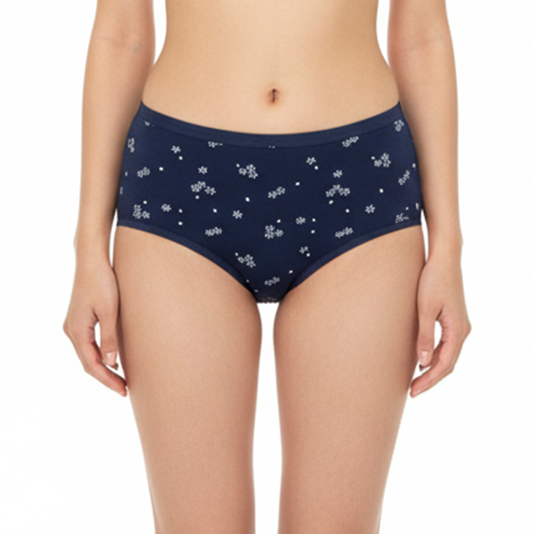 Belleza Lingerie Multi Color Brief Panty Pack Of 6-B259