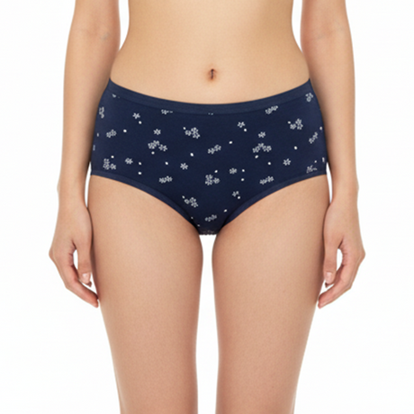 Belleza Lingerie Multi Color Brief Panty Pack Of 6-B259