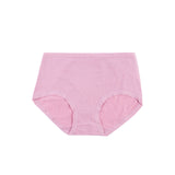 Belleza Lingerie Classic Brief Panty - 6502