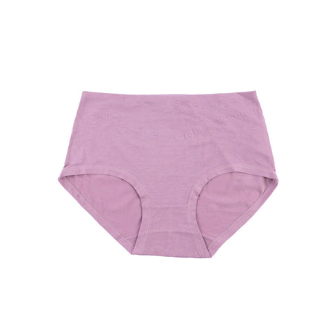 Belleza Lingerie Classic Brief Panty - 6502