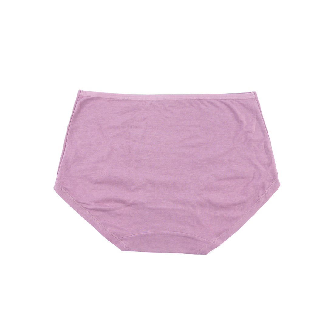 Belleza Lingerie Classic Brief Panty - 6502