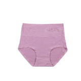 Belleza Lingerie Control Brief Panty - 6509