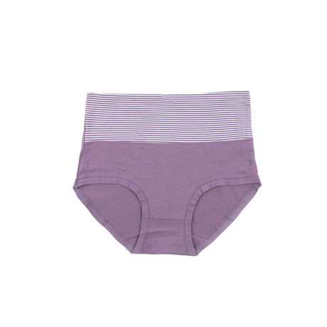 Belleza Lingerie Control Brief Panty - 6510