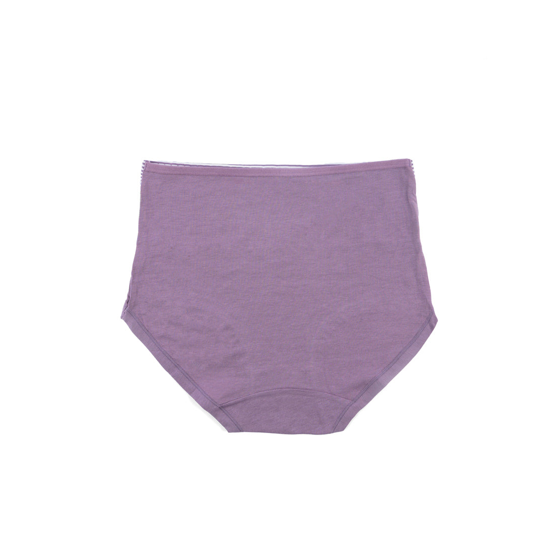 Belleza Lingerie Control Brief Panty - 6510