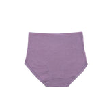 Belleza Lingerie Control Brief Panty - 6510