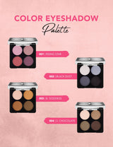 Color Eye Shadow Palette 6g