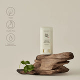 Beauty Of Joseon SPF50+ Mugwort & Camelia Matte Sun Stick 18g