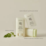 Beauty Of Joseon SPF50+ Mugwort & Camelia Matte Sun Stick 18g