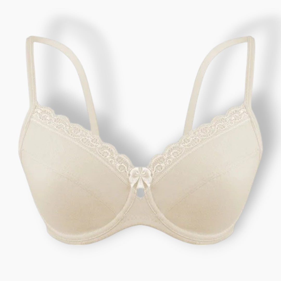 Belleza Lingerie Modish Wired Lace Bra
