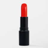 Vida Matte Lipstick 5g - 302 Hey Messy