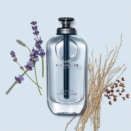 Coach Men Newyork Open Road EDT Perfume 100ml