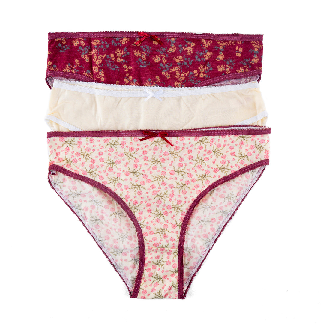 Belleza LingerieHigh Leg Panty PS-04 (Pack of 3)