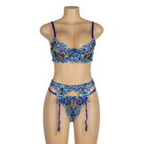 Belleza Lingerie Wired Net Bra Set - 1160