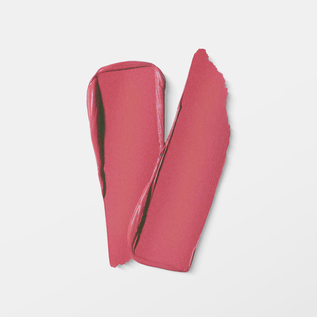 Vida Matte Lipstick 5g - 255 Mary Jane