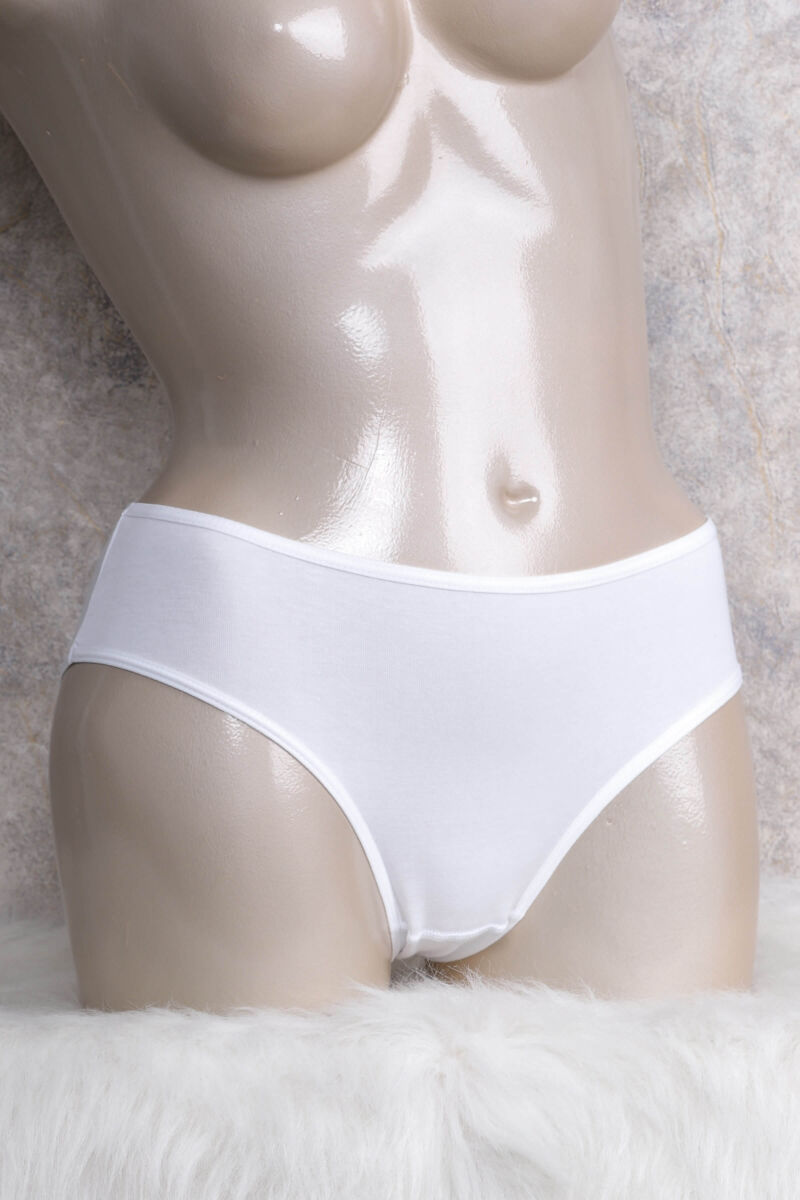 ANIL PANTY 2658 - Pack of 3