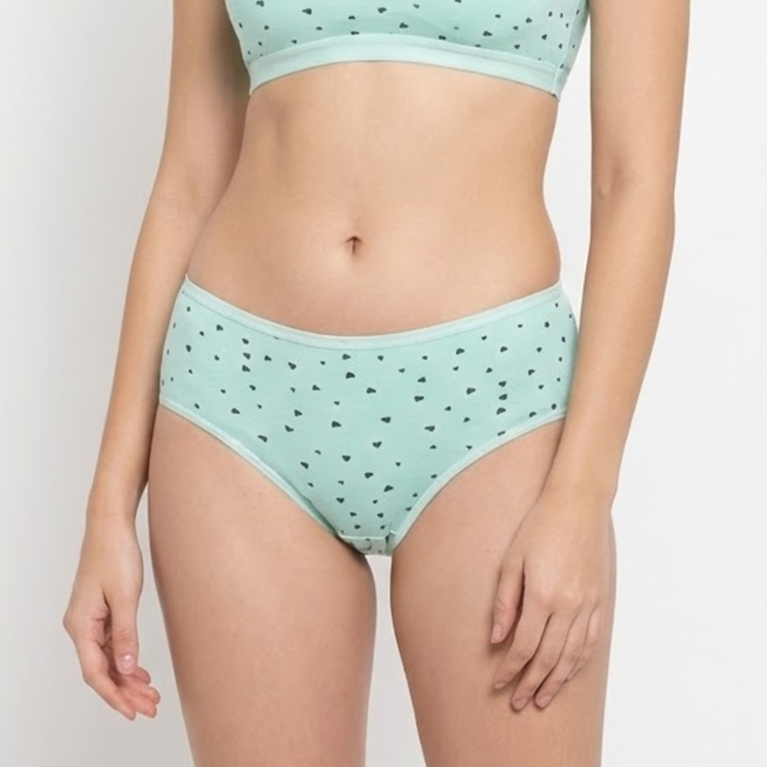 Belleza Lingerie multi Color Brief Panty Pack Of 6-B221