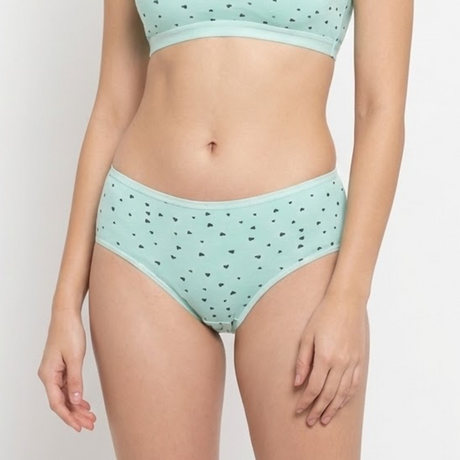 Belleza Lingerie multi Color Brief Panty Pack Of 6-B221