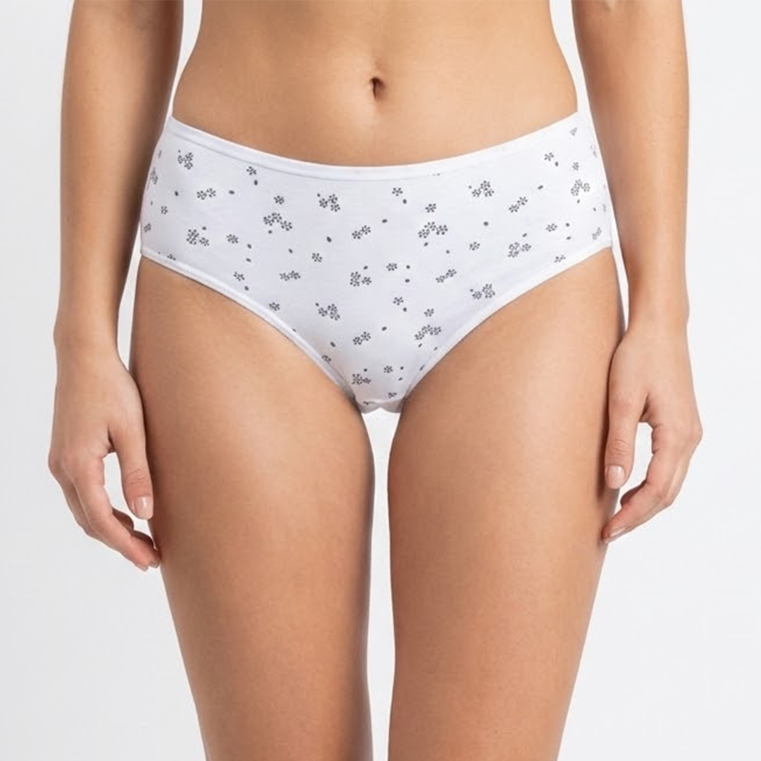 Belleza Lingerie multi Color Brief Panty Pack Of 6-B227