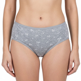 Belleza Lingerie Multi Color Brief Panty Pack Of 6-B227