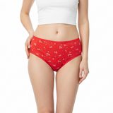 Belleza Lingerie multi Color Brief Panty Pack Of 6-B227