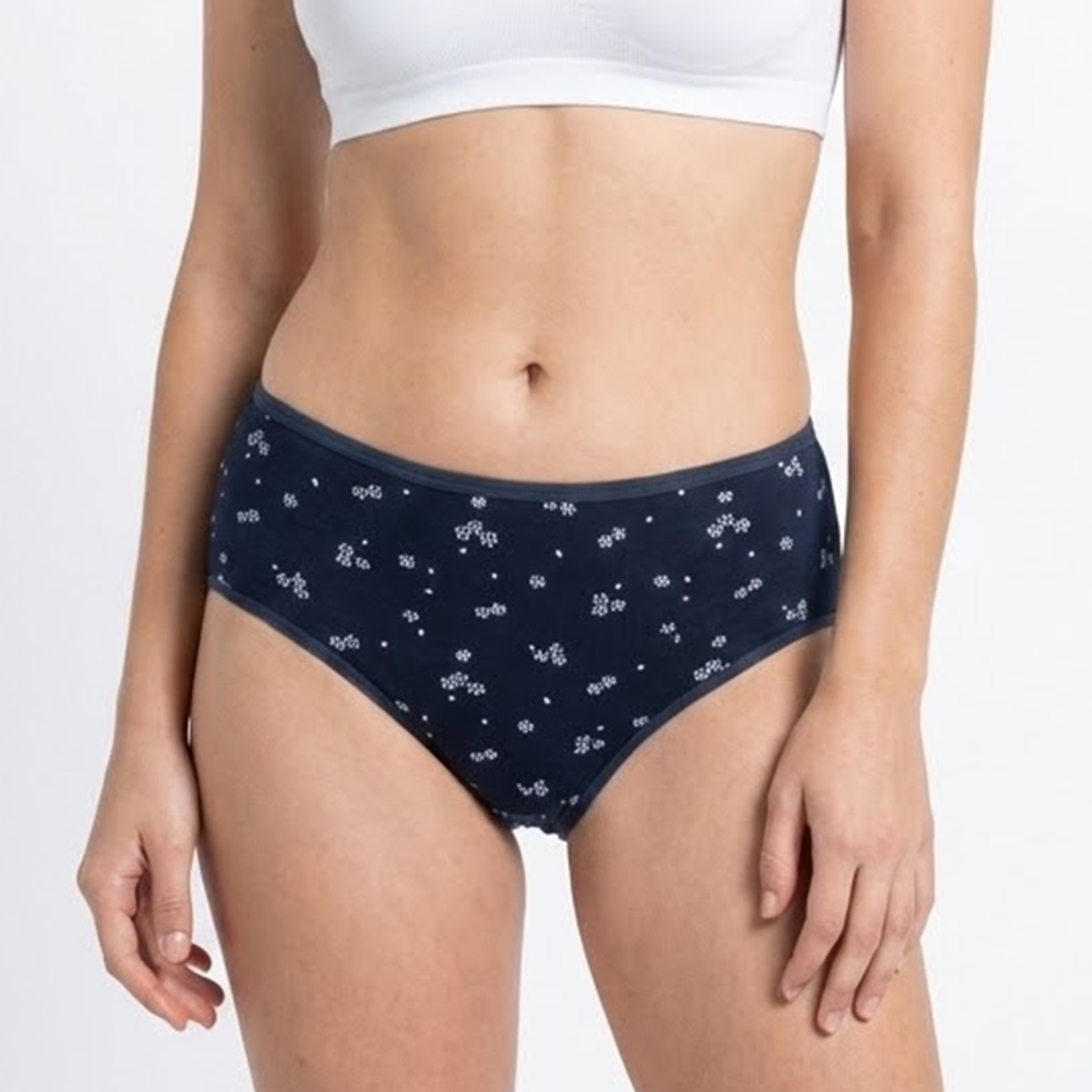 Belleza Lingerie multi Color Brief Panty Pack Of 6-B227