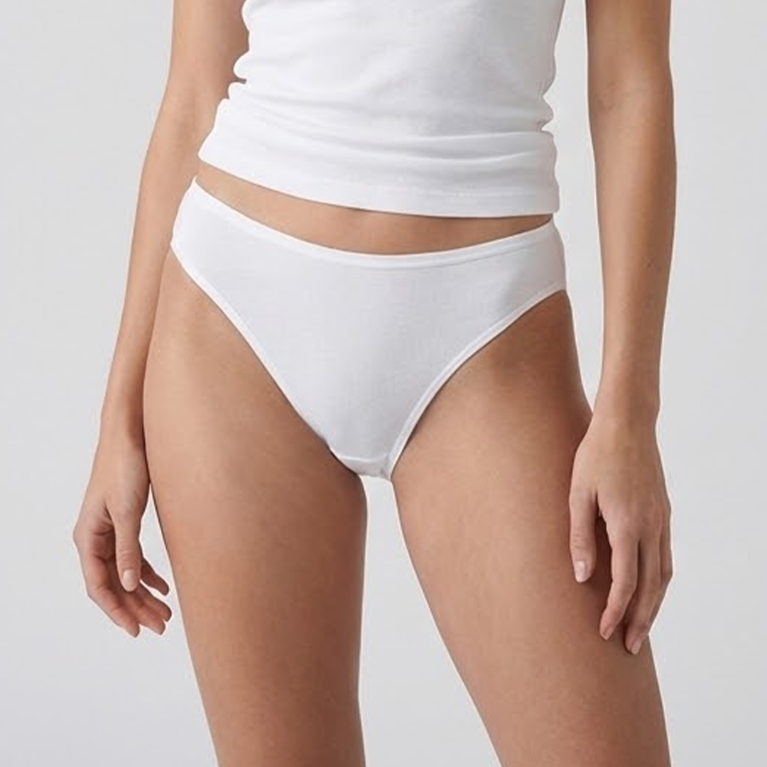 Belleza Lingerie Multi Color Brief Panty Pack Of 3-B253