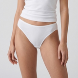 Belleza Lingerie Multi Color Brief Panty Pack Of 3-B253