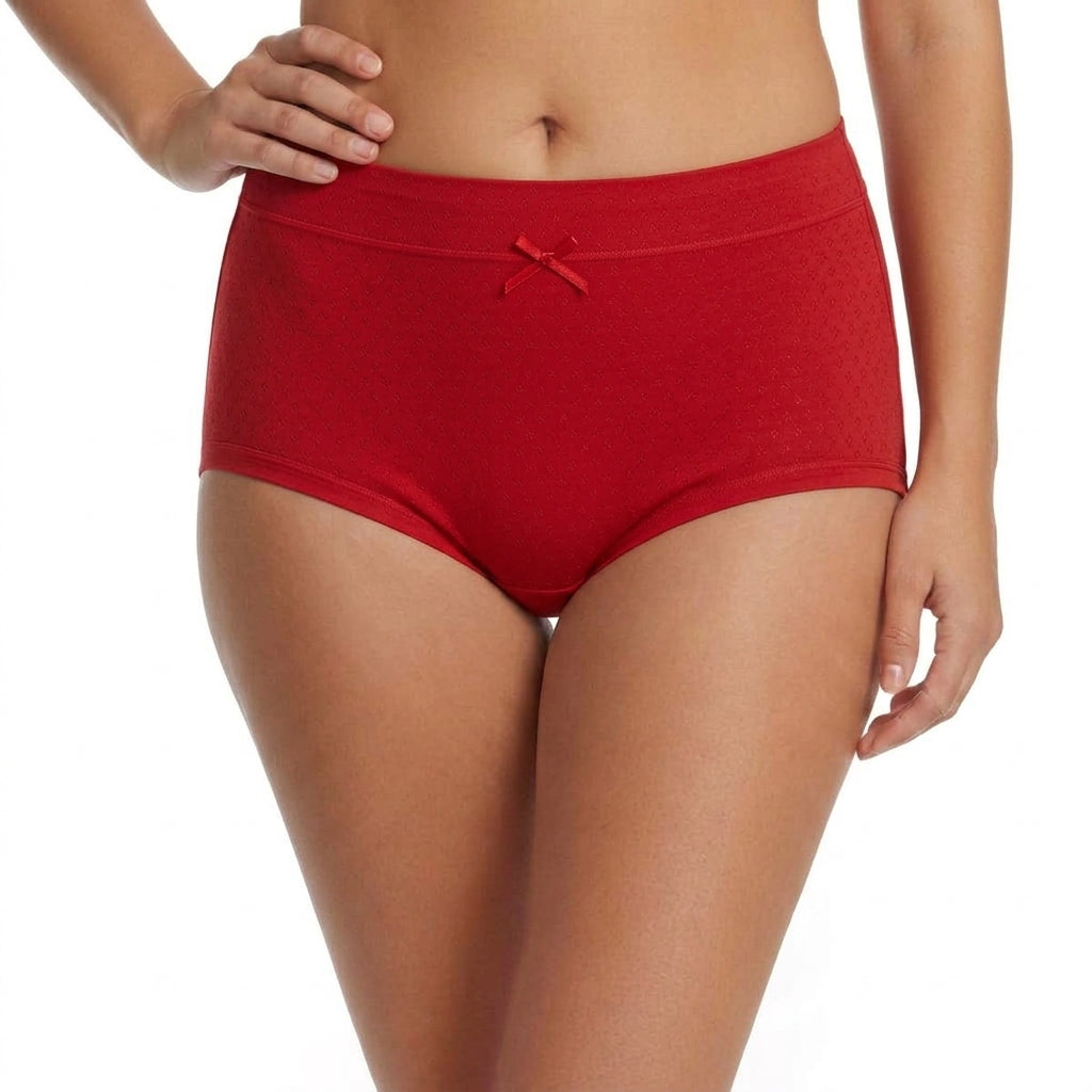 BELLEZA SINGLE PANTY CLASSIC BRIEF 1037