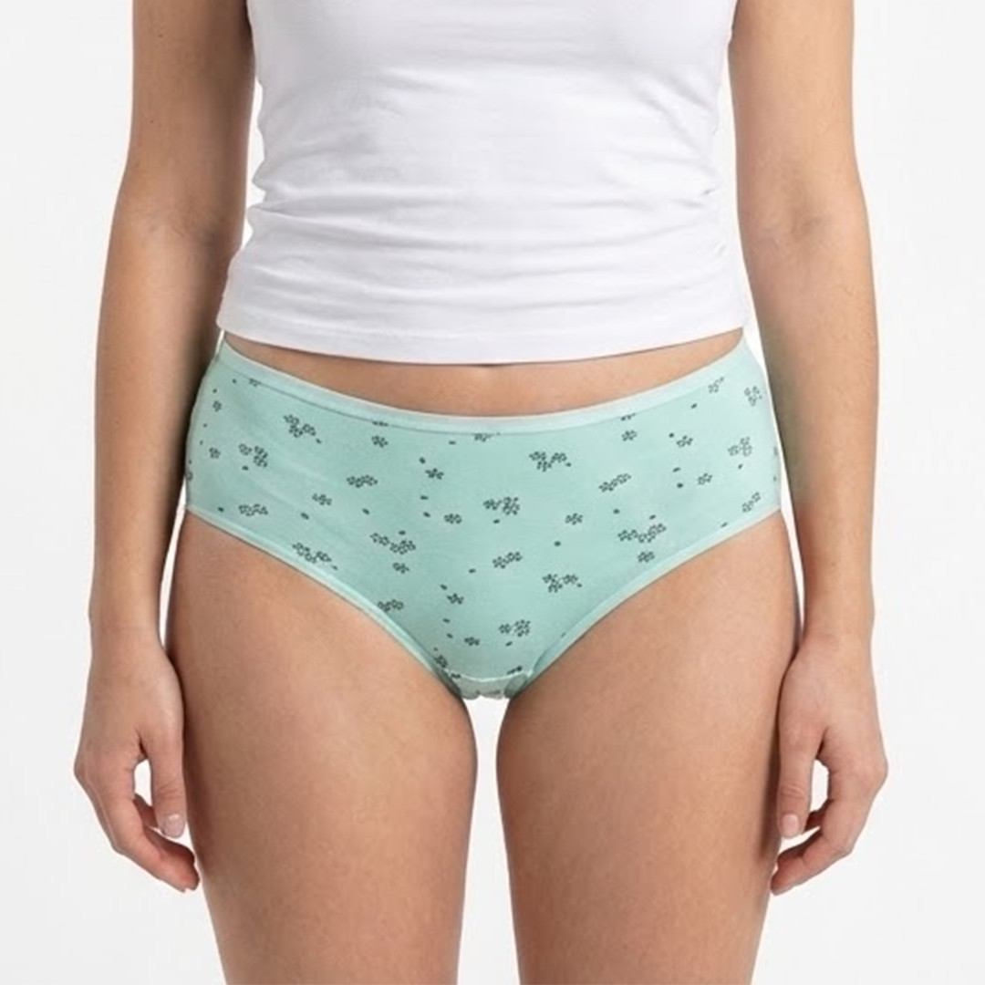 Belleza Lingerie Multi Color Brief Panty Pack Of 6-B259