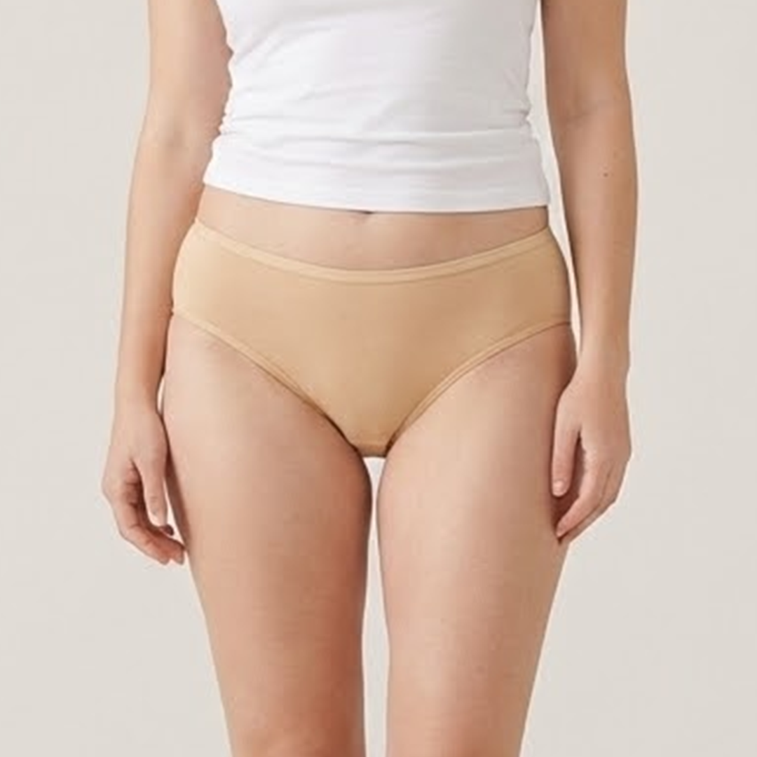 Belleza Lingerie Multi Color Brief Panty Pack Of 6-B237