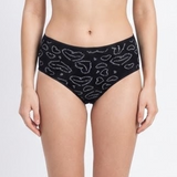 Belleza Lingerie multi Color Brief Panty Pack Of 6-B240