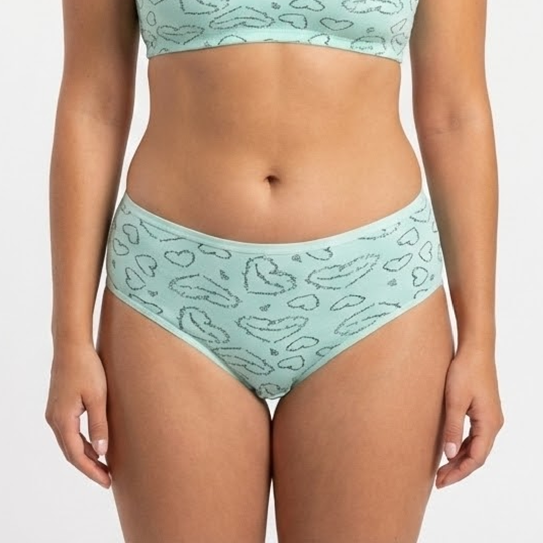 Belleza Lingerie Multi Color Brief Panty Pack Of 6-B240