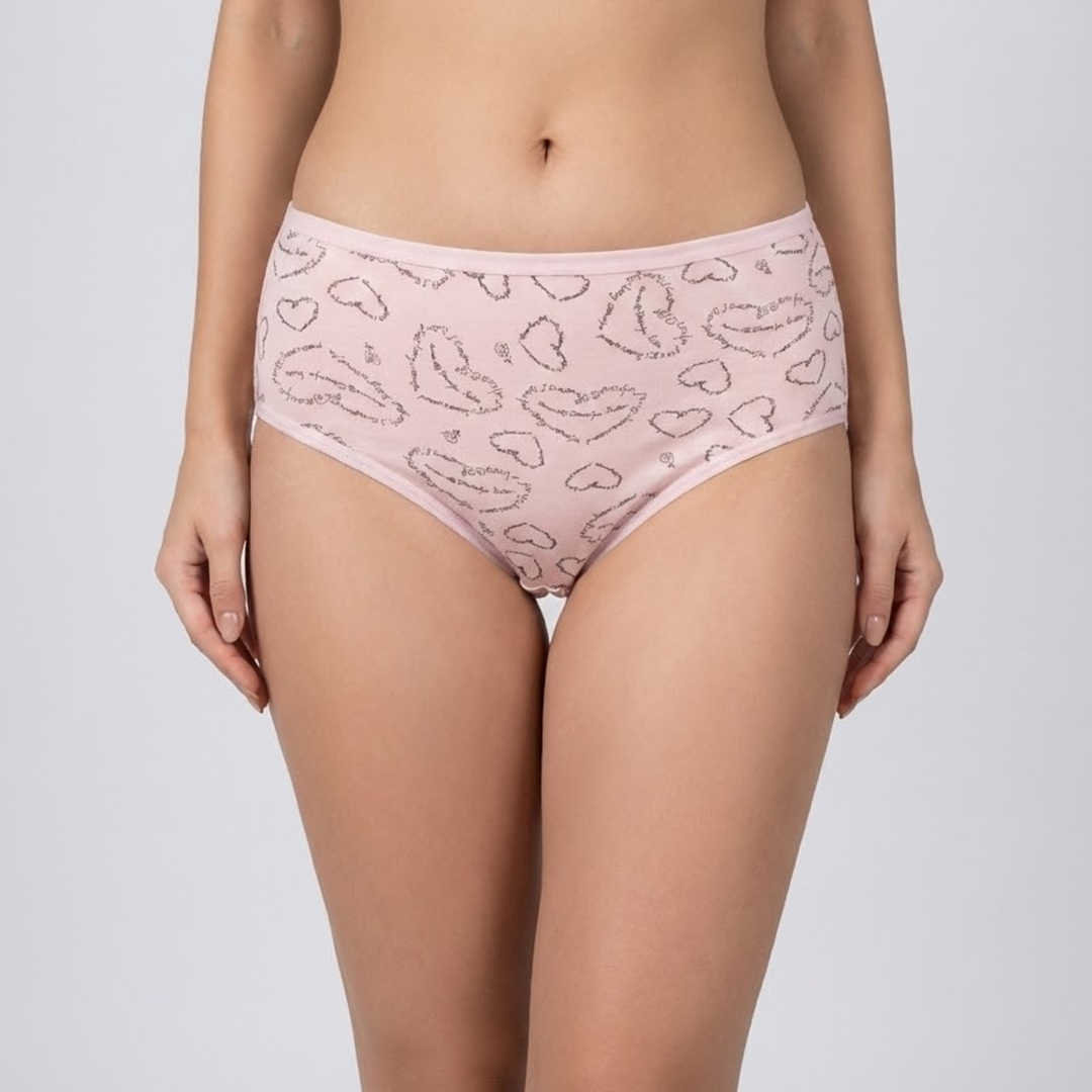 Belleza Lingerie Multi Color Brief Panty Pack Of 6-B240