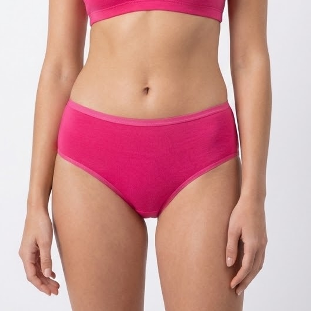 Belleza Lingerie multi Color Brief Panty Pack Of 6-B241