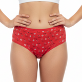 Belleza Lingerie Multi Color Brief Panty Pack Of 6-B256