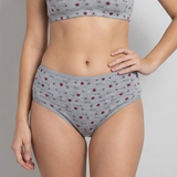 Belleza Lingerie multi Color Brief Panty Pack Of 6-B256