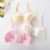 Belleza Lingerie B.Dee - 7308
