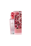 Rose Perfume EDT For Women 100ml RIOS
